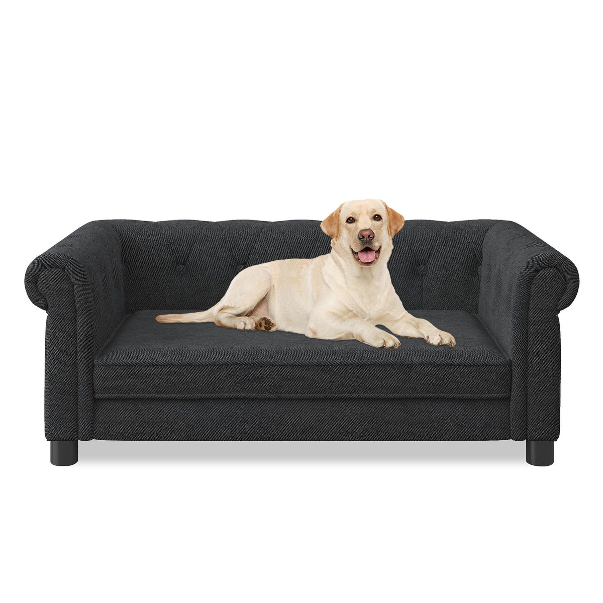 Modern Elegant Rectangle Pet Bed with Elevated Design - Multiple Colors