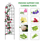 Metal Garden Rustproof Trellis for Climbing Plants – Outdoor Flower Support