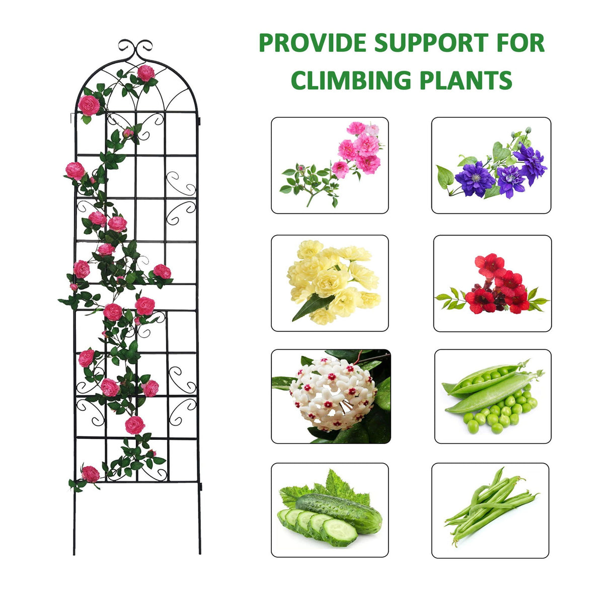 Metal Garden Rustproof Trellis for Climbing Plants – Outdoor Flower Support