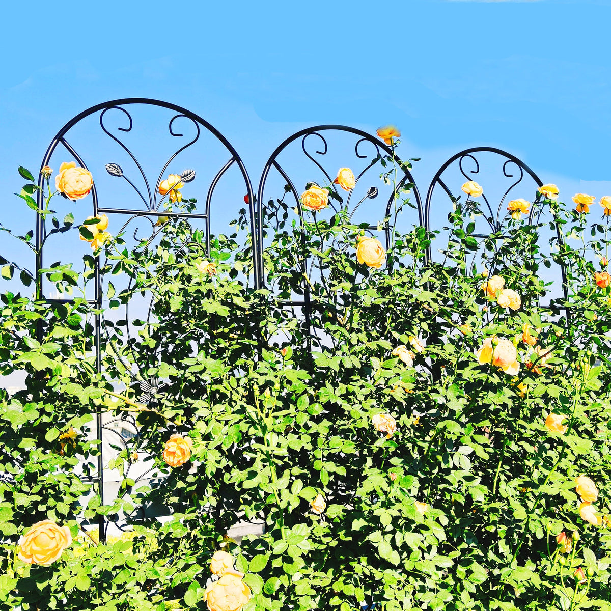 4 Pack Metal Garden Trellis with Decorative Peacock Design - Rustproof Iron