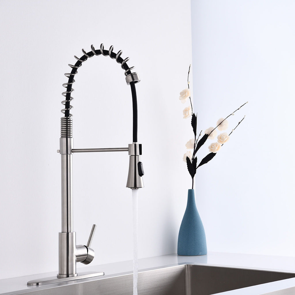 Modern Single Handle Spring High Arc Kitchen Faucet with Water Filter System - Pearl Silver