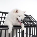 Heavy Duty Dog Crate with Lockable Wheels - Black