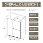 Glass Shower Door with Stainless Steel Handle - Black