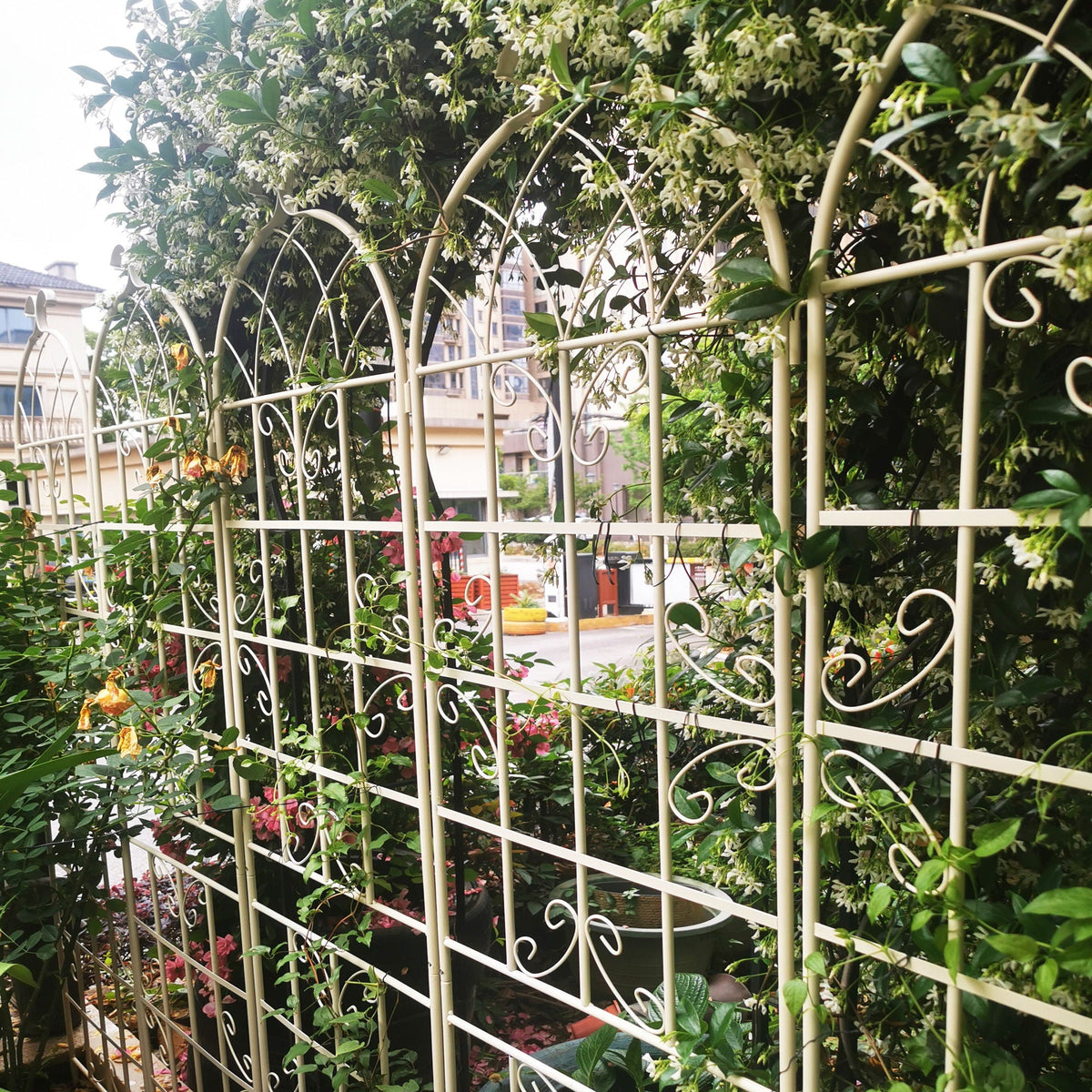 Metal Garden Rustproof Trellis for Climbing Plants – Outdoor Flower Support