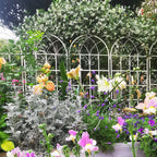 Metal Garden Rustproof Trellis for Climbing Plants – Outdoor Flower Support
