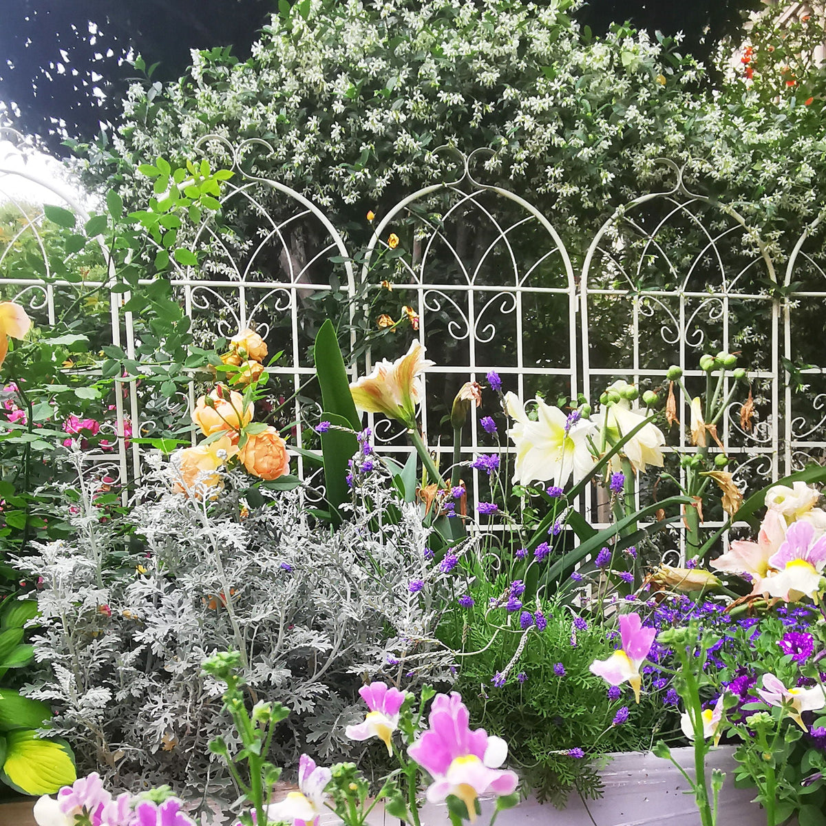Metal Garden Rustproof Trellis for Climbing Plants – Outdoor Flower Support