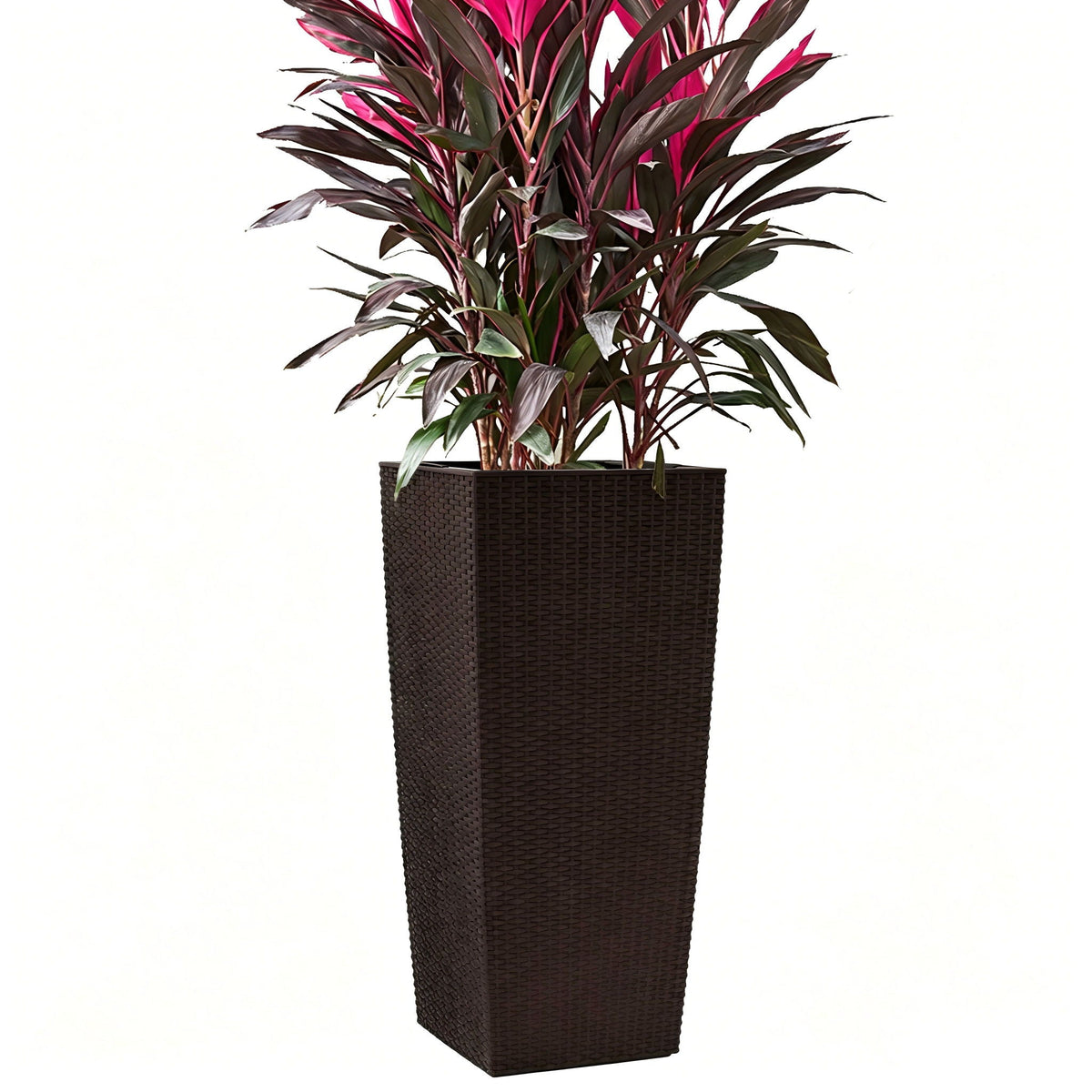 Indoor Outdoor Planter with Automatic Watering System - Dark Brown, Black, or White