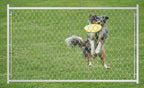 Adjustable Chain Link Walk Gate Kit with Heavy-Duty Construction - Silver
