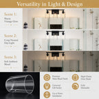3-Light Matte Bathroom Vanity Wall Light with Clear Glass Shades - Black