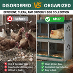 4 Compartment Chicken Nesting Boxes with Durable Metal Construction - Green