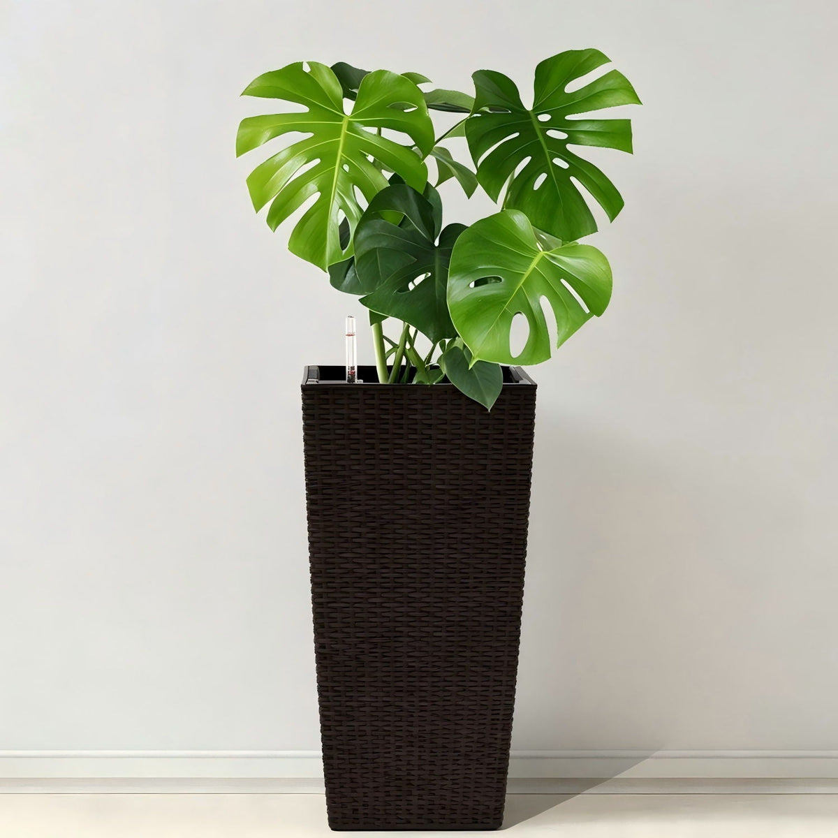 Indoor Outdoor Planter with Automatic Watering System - Dark Brown, Black, or White