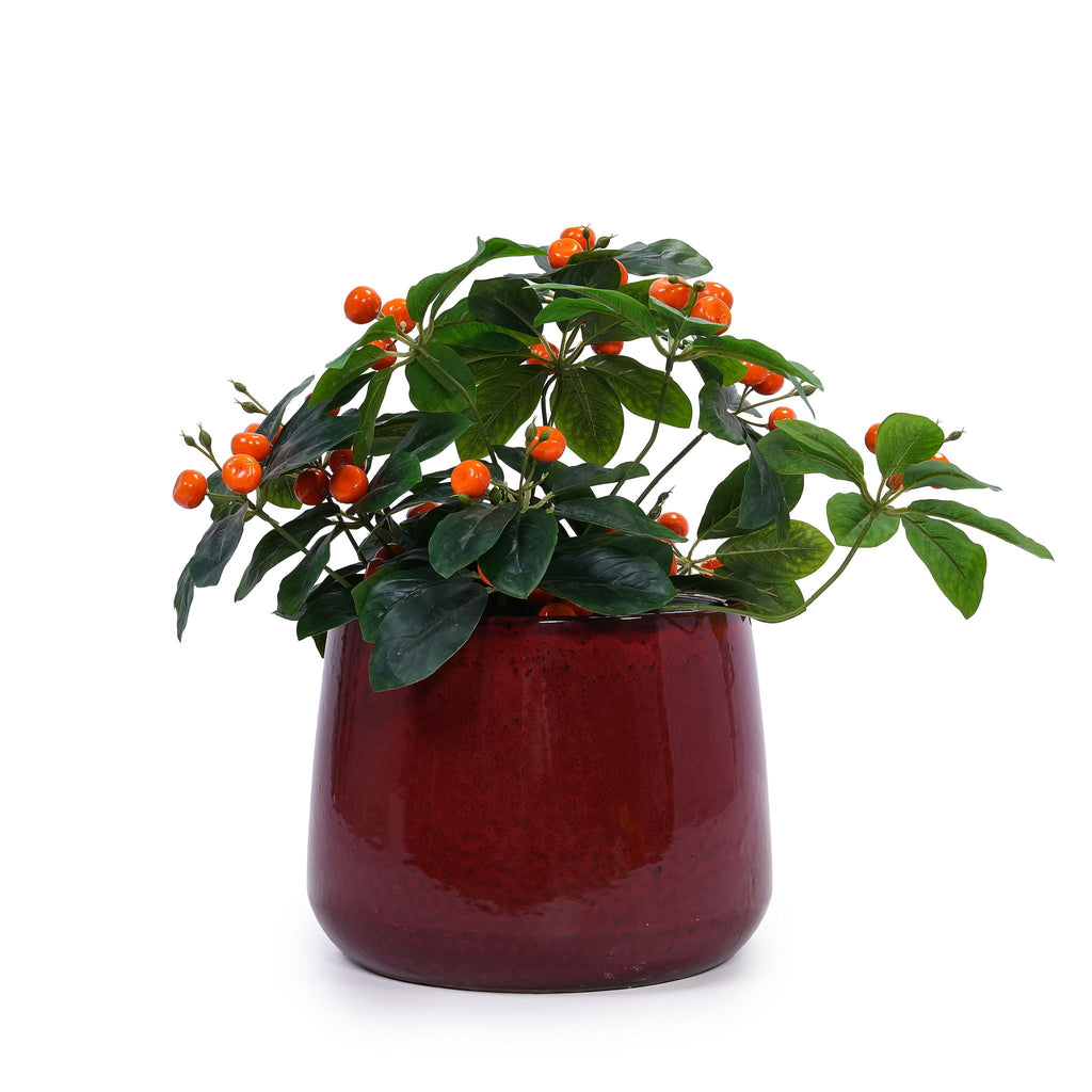 Bean Paste Red 4-Piece Ceramic Planter Pot Set with Drainage Hole - Indoor Outdoor
