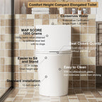 Elegant One Piece Toilet With Tornado Dual Flush
