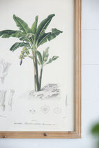 Tree Framed Print Set with Fir Wood Frames - Multicolor