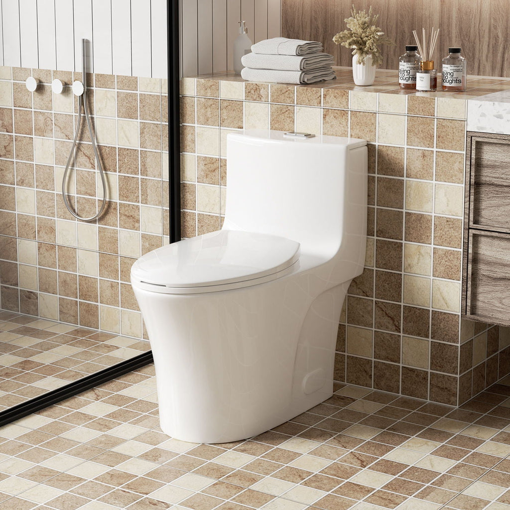 Elegant One Piece Toilet With Tornado Dual Flush