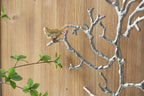 Metal Branch Wall Sculptures with Bird Accents - Silver Multi