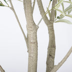 8FT Artificial Olive Tree with Decorative White Planter - Green Leaves
