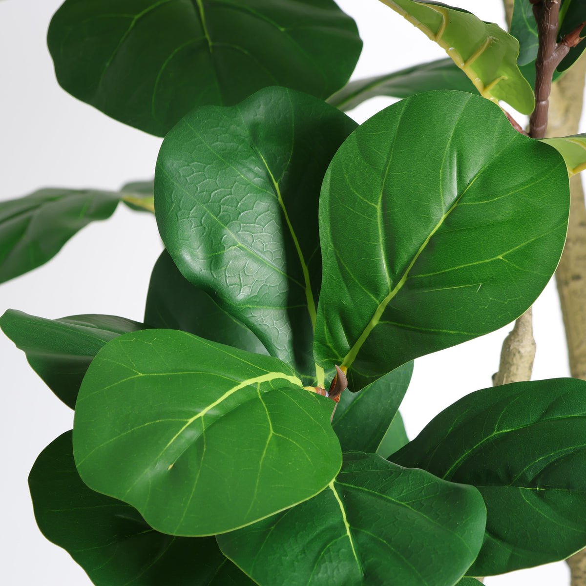 7FT Artificial Fiddle Leaf Fig Tree with Modern Black Pot - Green Leaves