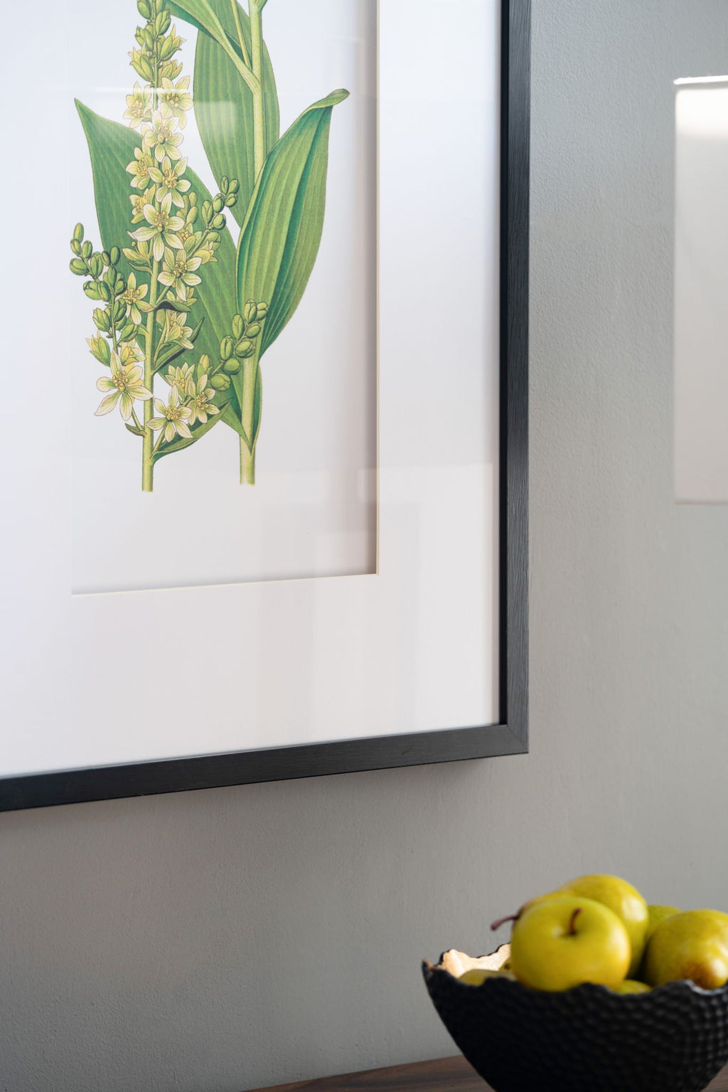 Botanical Flower Wall Art Set of 4 with Framed Prints - White / Blue