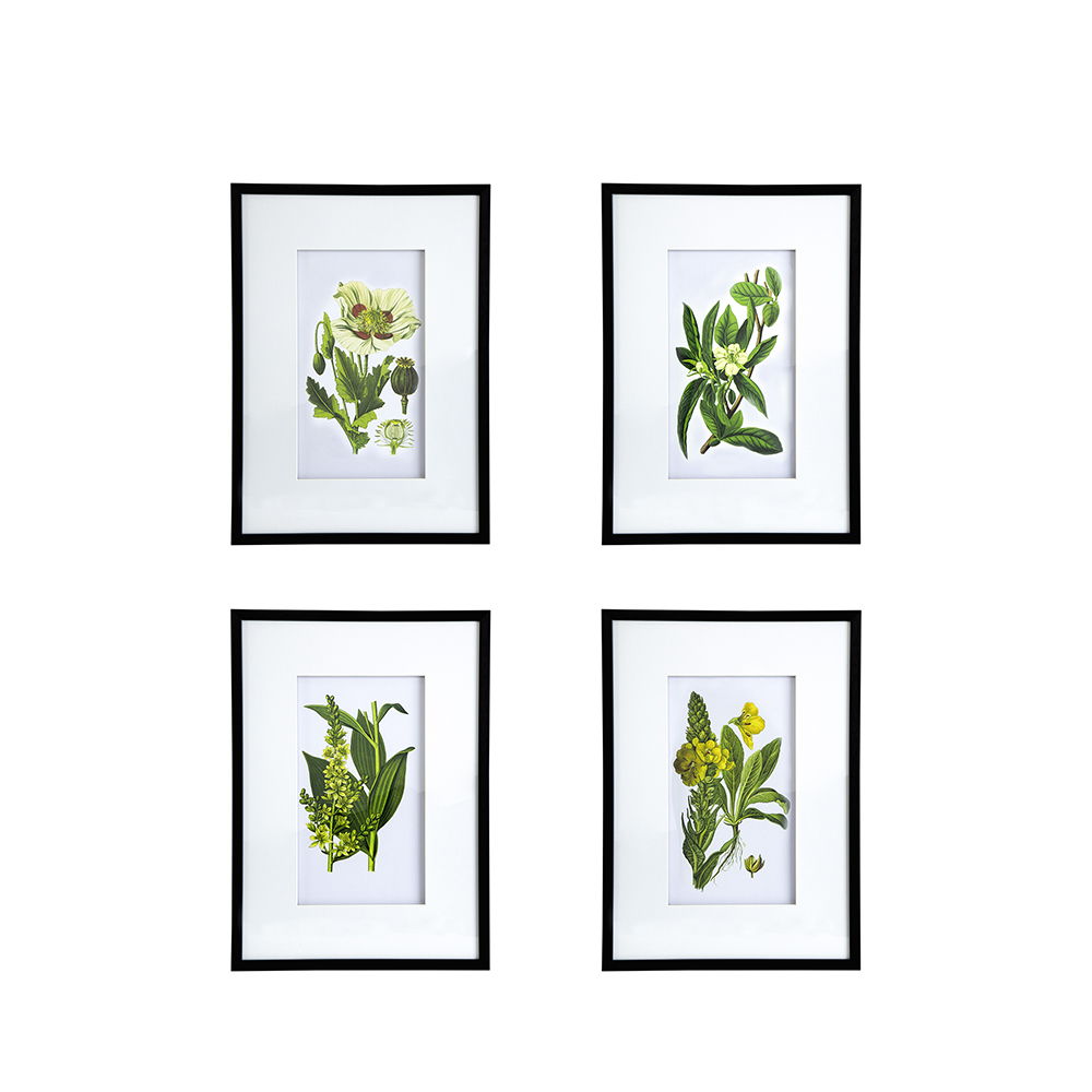 Botanical Flower Wall Art Set of 4 with Framed Prints - White / Blue