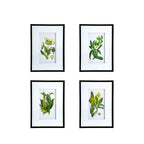 Botanical Flower Wall Art Set of 4 with Framed Prints - White / Blue
