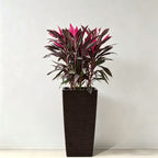 Indoor Outdoor Planter with Automatic Watering System - Dark Brown, Black, or White