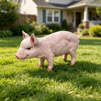 Cheerful Beige Pig Garden Statue with Weather-Resistant Finish - Beige