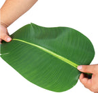 Bird of Paradise Artificial Plant with Faux Banana Leaves - 6 Ft Tall