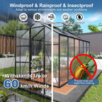 Windproof Greenhouse with Raised Base - Polycarbonate Panels - Black