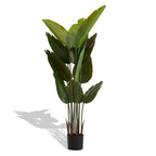 Artificial Plant Set of 2 with Durable Plastic Construction - Green
