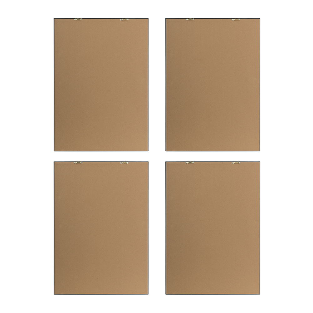 Botanical Flower Wall Art Set of 4 with Framed Prints - White / Blue