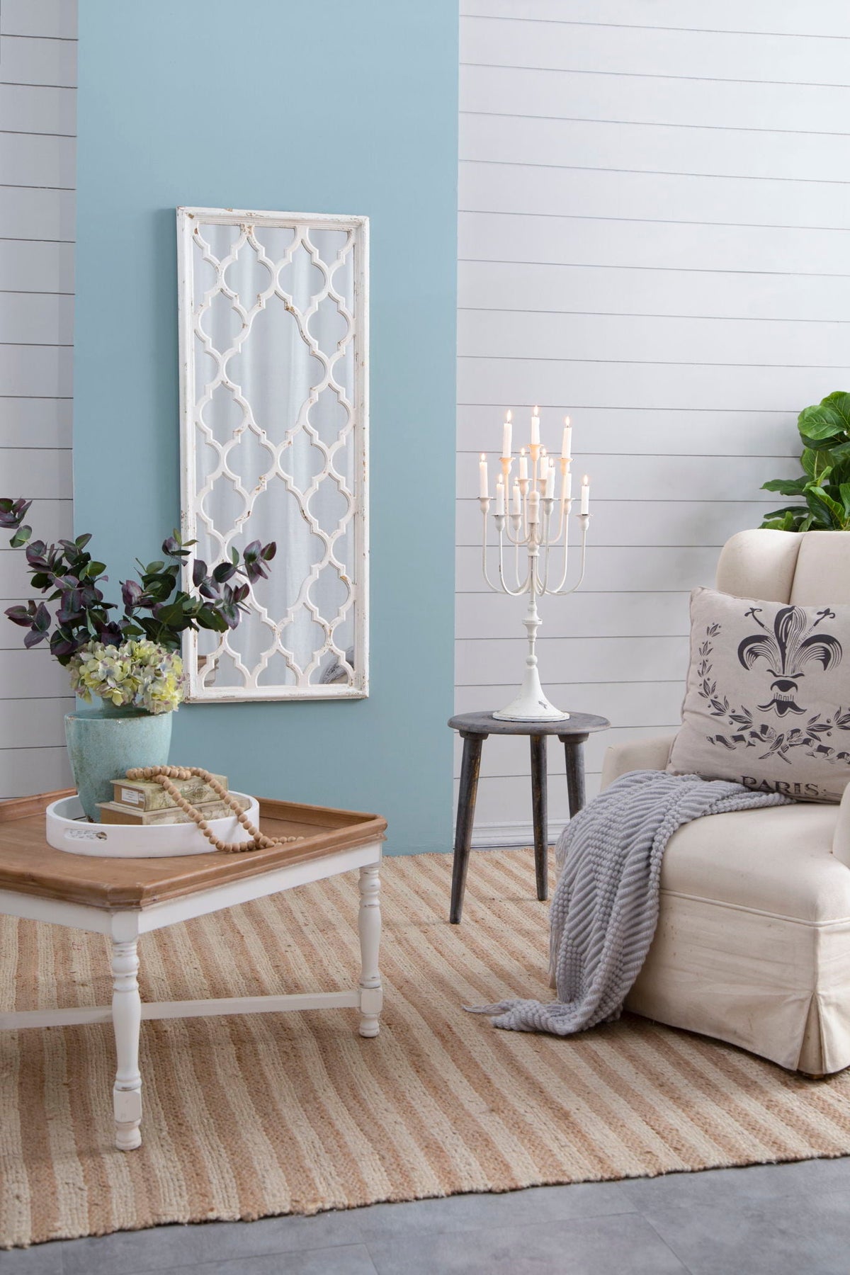 Distressed Floor Mirror with Full Body View - White