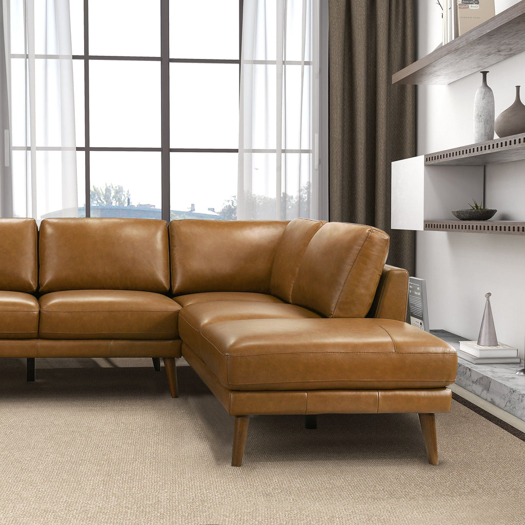 Benson Sectional Sofa With Chaise - Multiple Colors