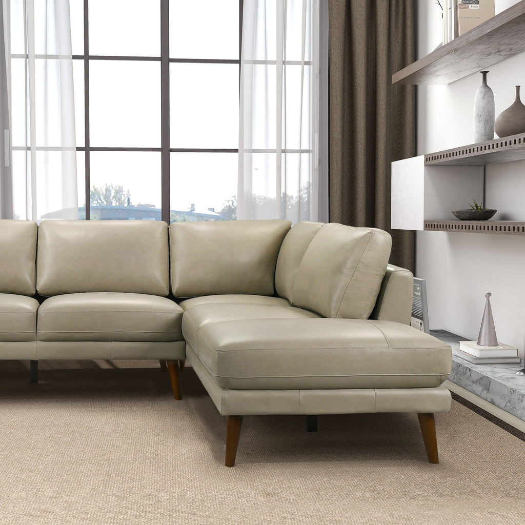 Benson Sectional Sofa With Chaise - Multiple Colors