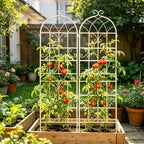 Metal Garden Rustproof Trellis for Climbing Plants – Outdoor Flower Support