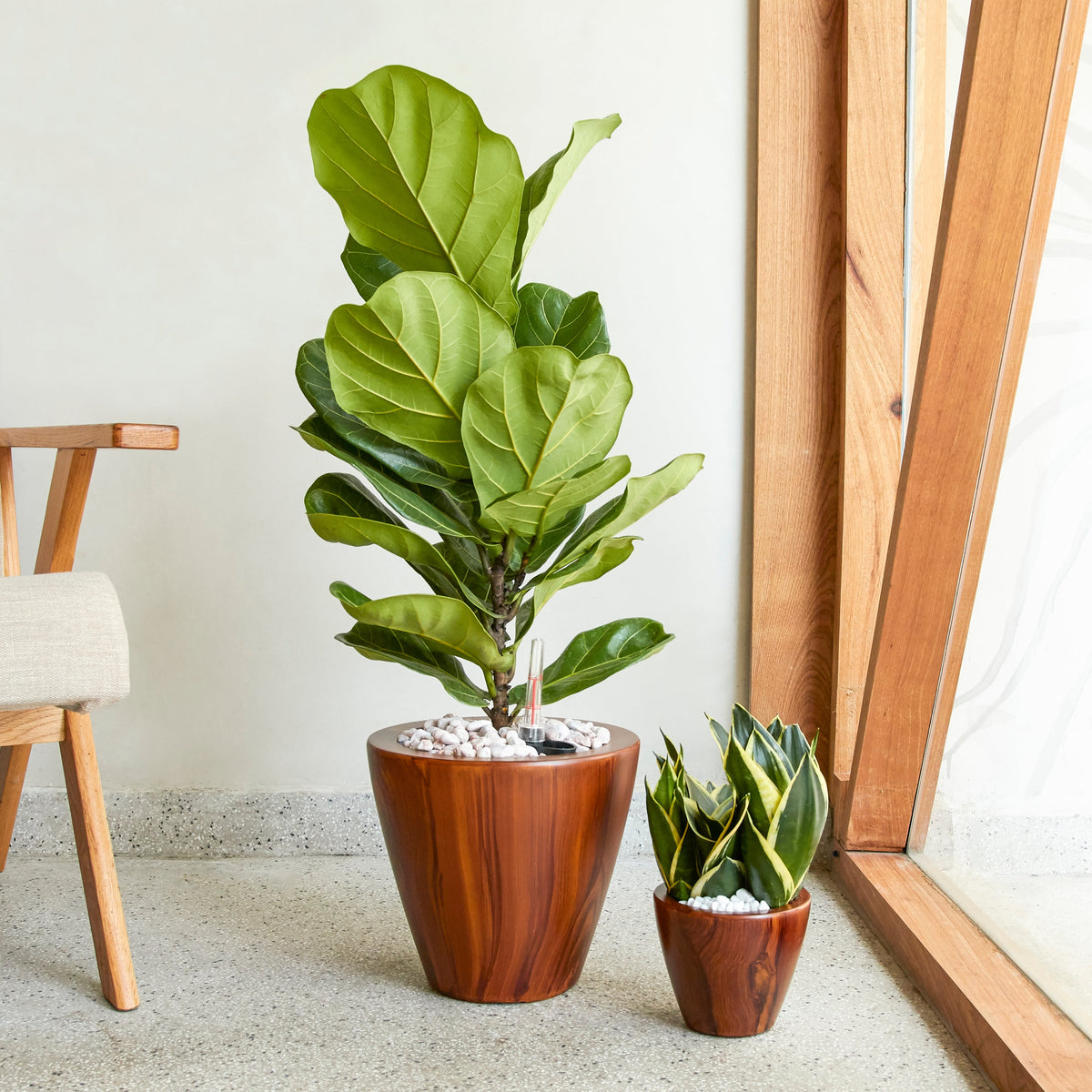 10" Dark Wood Plastic Self-Watering Planter Pot 2-Pack with Self-Watering System - Dark Wood