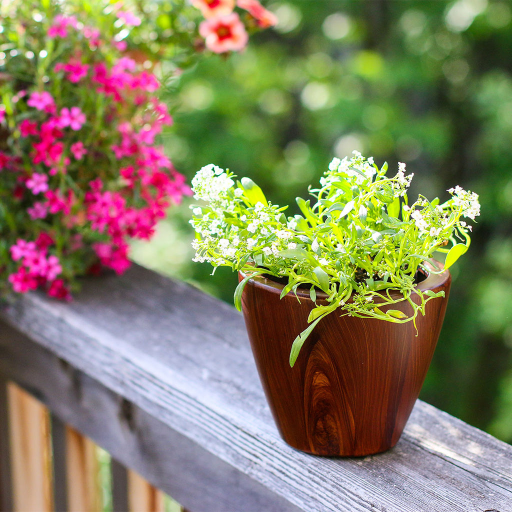 10" Dark Wood Plastic Self-Watering Planter Pot 2-Pack with Self-Watering System - Dark Wood