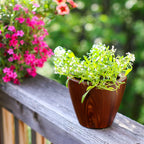 10" Dark Wood Plastic Self-Watering Planter Pot 2-Pack with Self-Watering System - Dark Wood