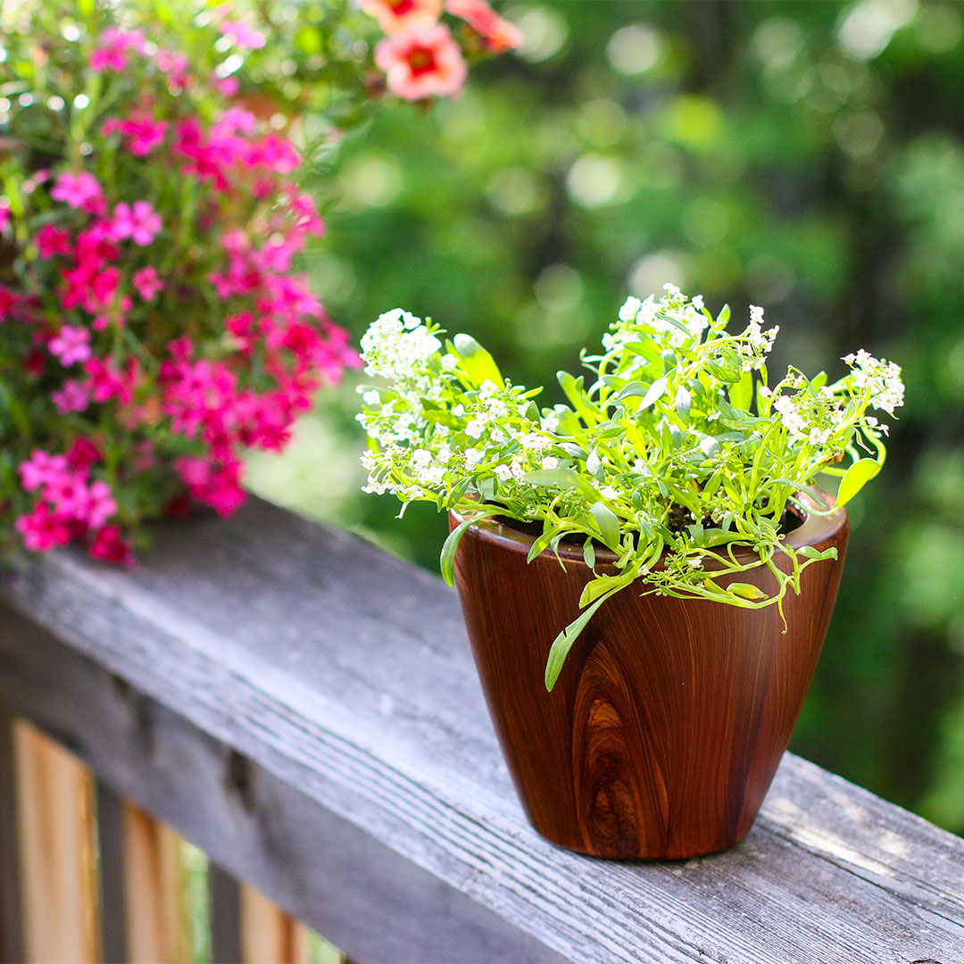10" Dark Wood Plastic Self-Watering Planter Pot 2-Pack with Self-Watering System - Dark Wood