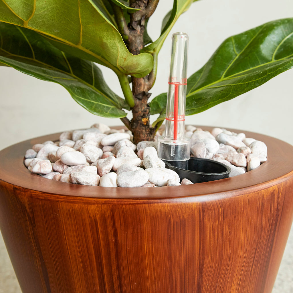 10" Dark Wood Plastic Self-Watering Planter Pot 2-Pack with Self-Watering System - Dark Wood