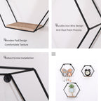 Wall Mounted Hexagonal Floating Shelves - Black (Set of 3)