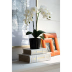 Book Boxes Set of 2 with Faux Leather Covers - White / Gold