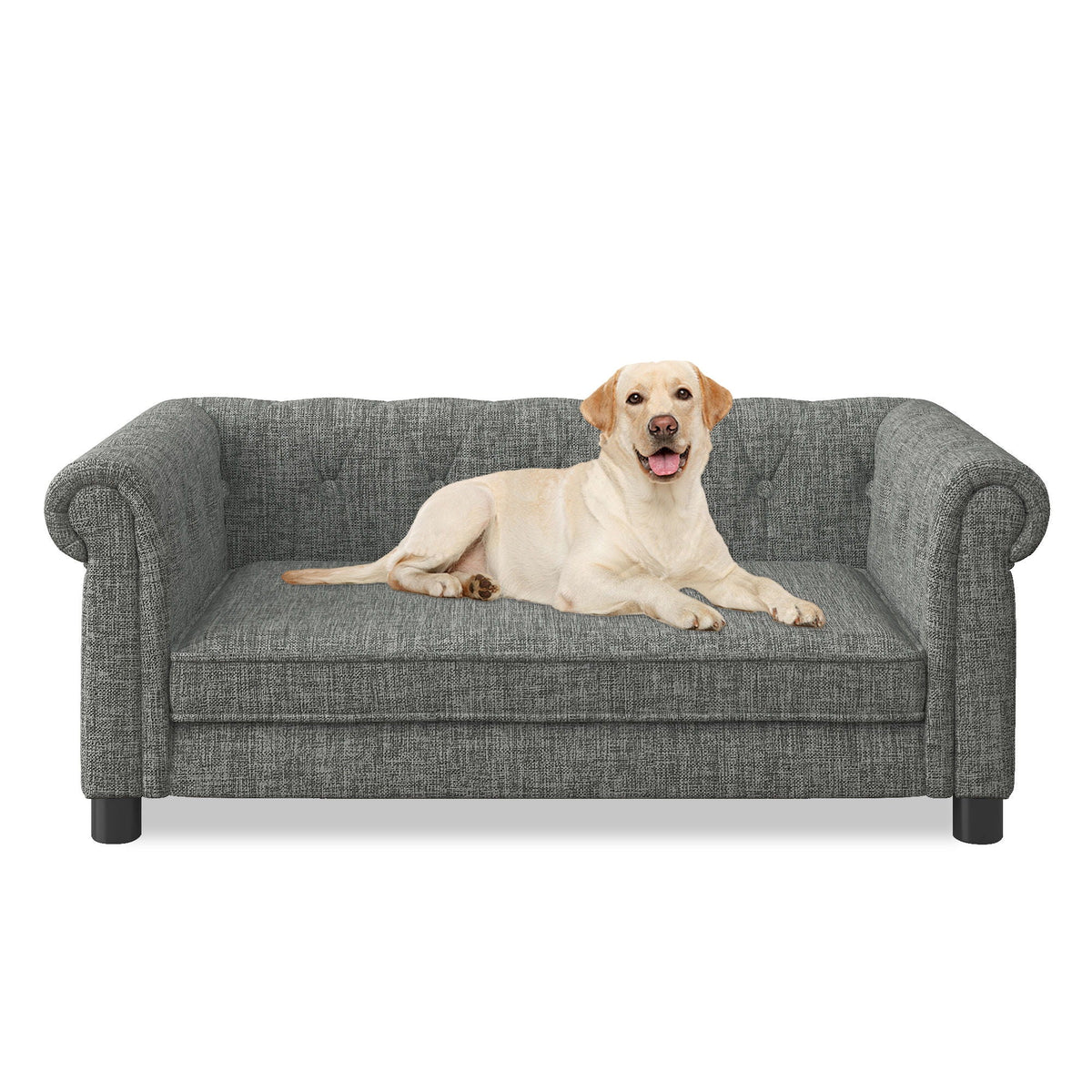 Modern Elegant Rectangle Pet Bed with Elevated Design - Multiple Colors