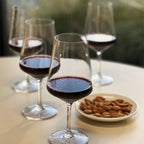 Unbreakable Tritan Wine Glasses with BPA-Free Durability - Clear