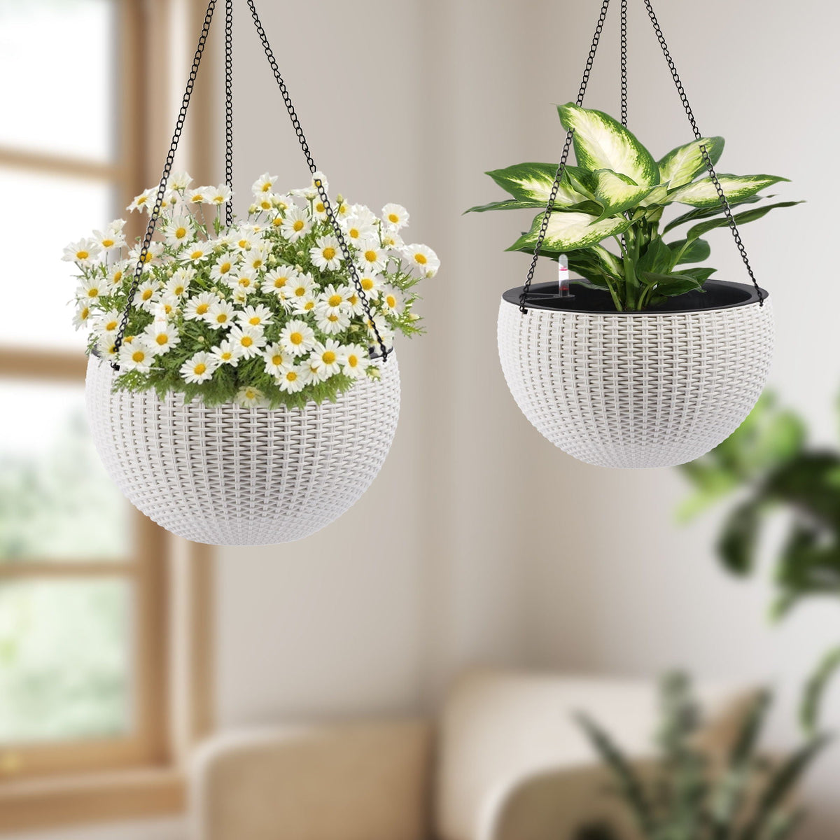 Self Watering Hanging Planter with Water Level Indicator - White, Black, or Dark Brown