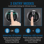 2.02 cu ft Biometric Keypad Fire Resistant Safe with Fingerprint Access - Black