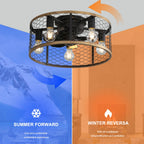 20" Industrial Caged Ceiling Fan with Remote Control