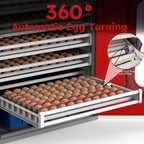 400-Egg Commercial Cabinet Incubator with Digital Controls - Red