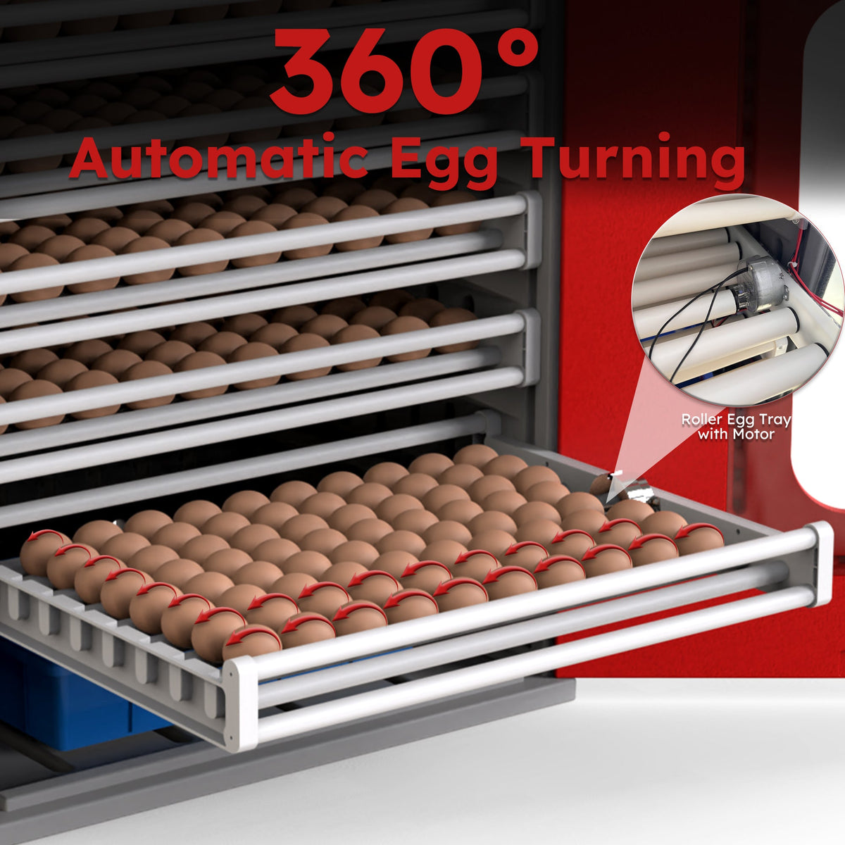 400-Egg Commercial Cabinet Incubator with Digital Controls - Red