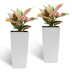 Indoor Outdoor Planter with Automatic Watering System - Dark Brown, Black, or White